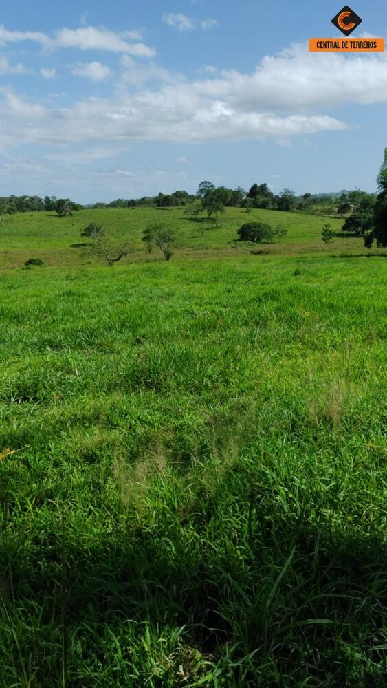 Loteamento e Condomínio, 70 hectares - Foto 2