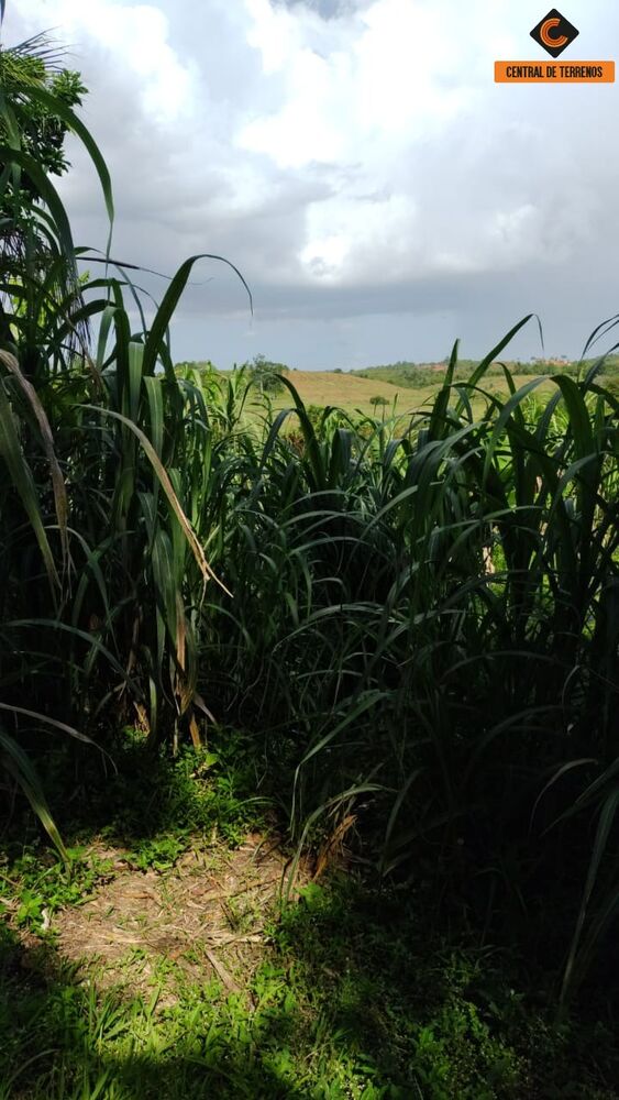 Loteamento e Condomínio, 70 hectares - Foto 4