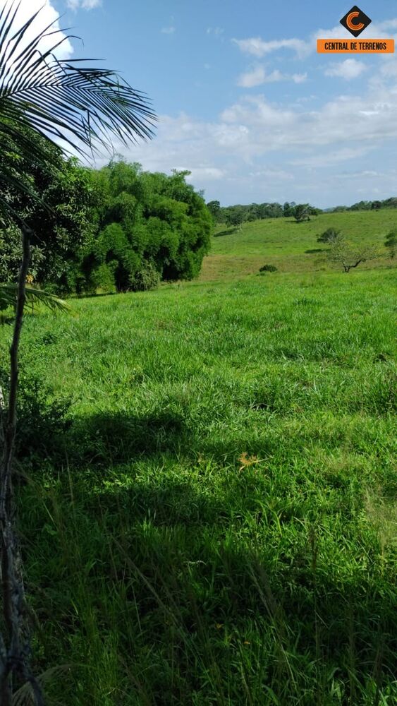 Loteamento e Condomínio, 70 hectares - Foto 3