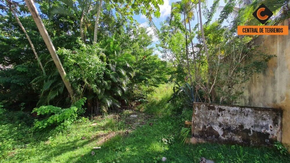 Terreno, 4300 m² - Foto 3