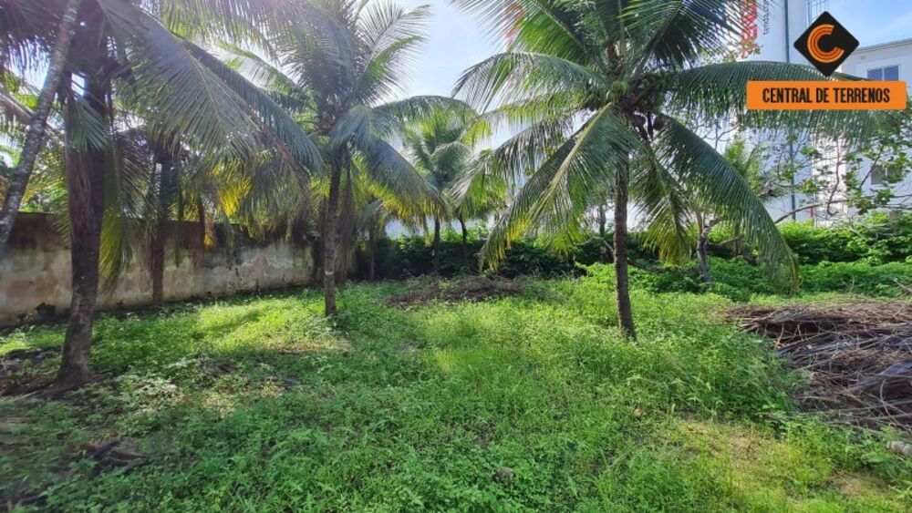 Terreno, 4300 m² - Foto 1