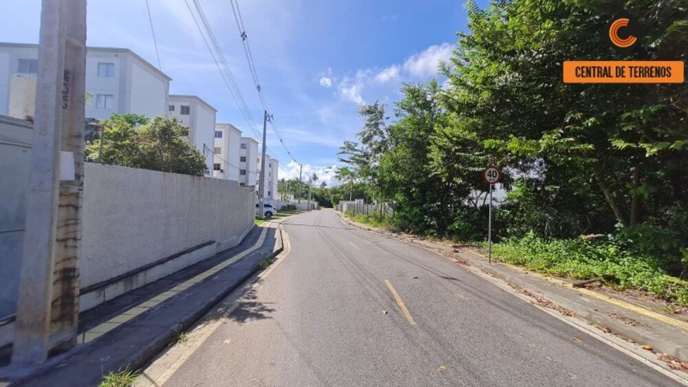 Terreno, 4300 m² - Foto 4