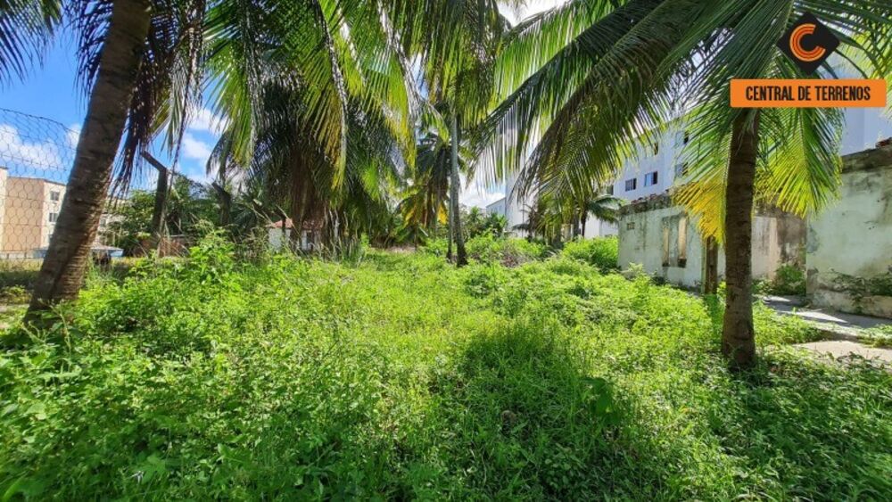Terreno, 4300 m² - Foto 2