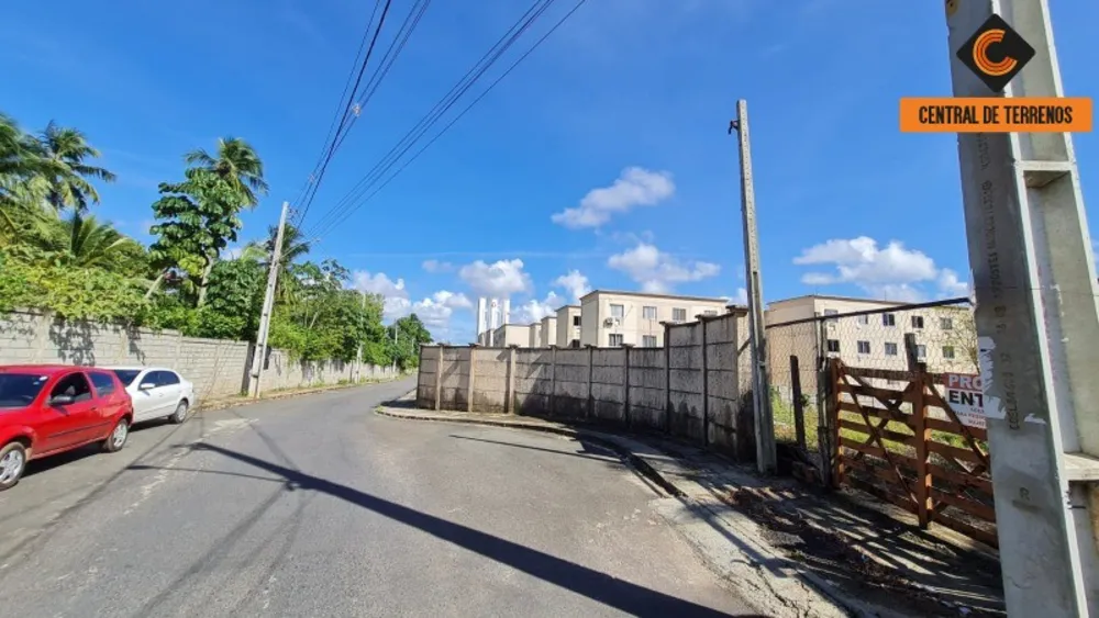 Terreno, 4300 m² - Foto 5