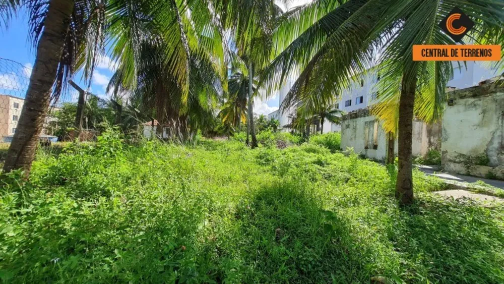 Terreno, 4300 m² - Foto 6