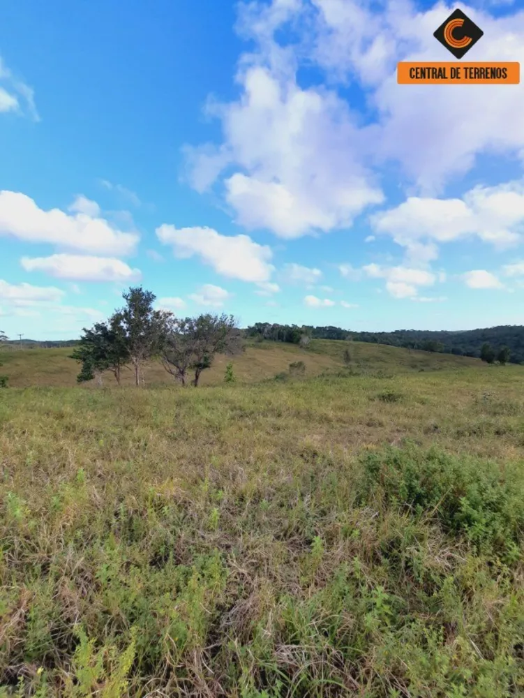 Fazenda à venda com 2 quartos, 500000m² - Foto 16