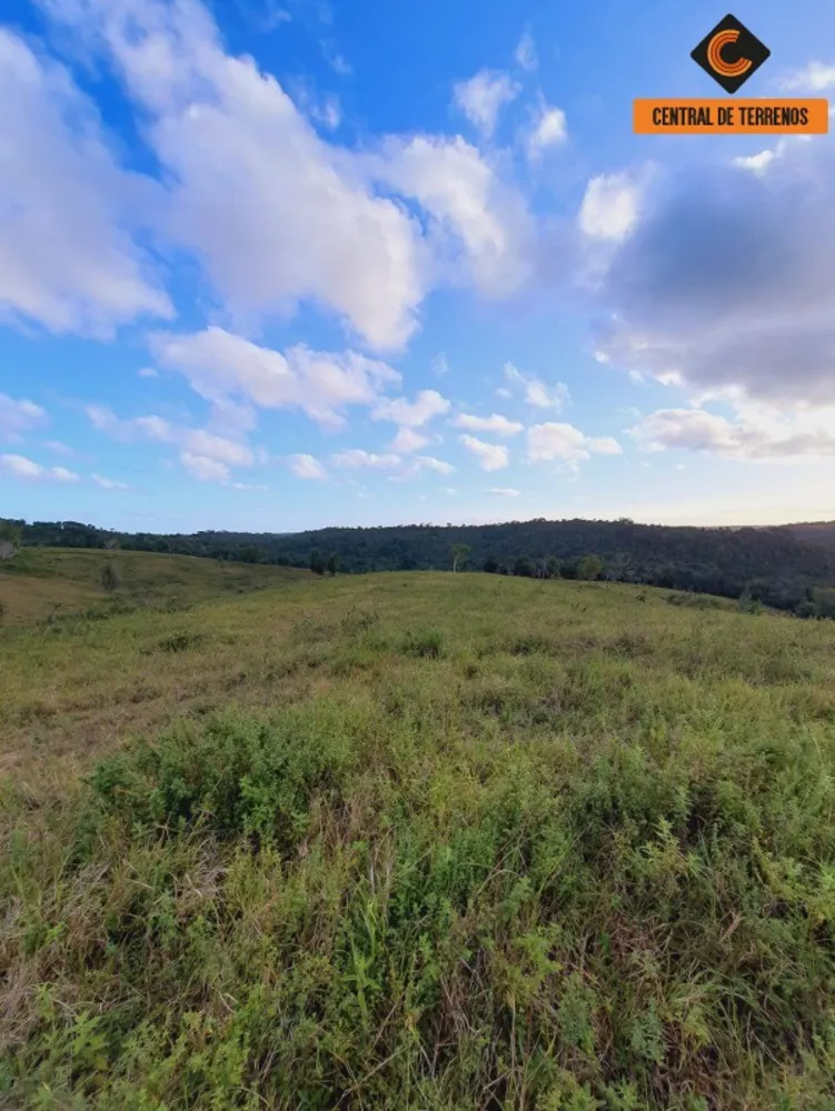 Fazenda à venda com 2 quartos, 500000m² - Foto 20