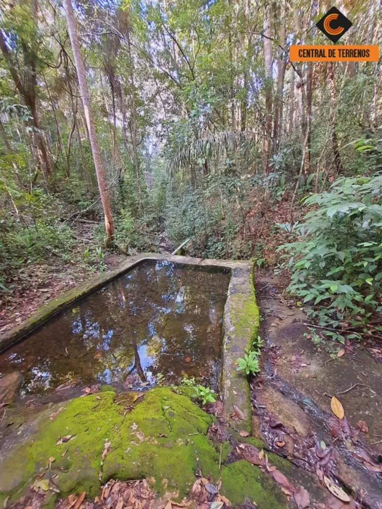 Fazenda à venda com 2 quartos, 500000m² - Foto 6