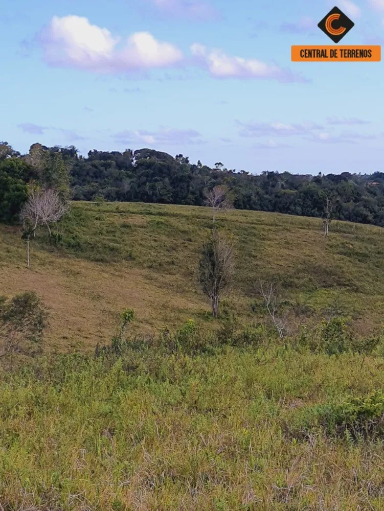 Fazenda à venda com 2 quartos, 500000m² - Foto 18