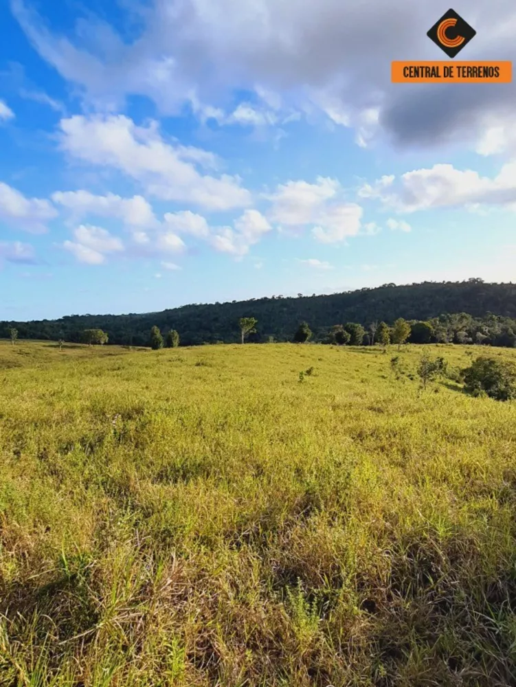 Fazenda à venda com 2 quartos, 500000m² - Foto 10