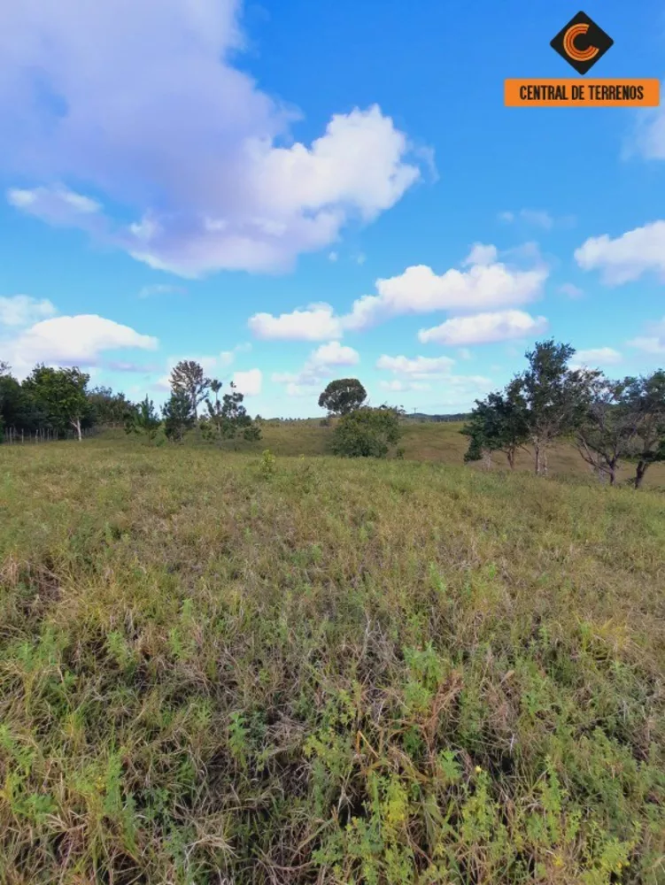 Fazenda à venda com 2 quartos, 500000m² - Foto 19