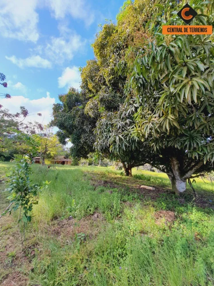 Fazenda à venda com 2 quartos, 500000m² - Foto 9