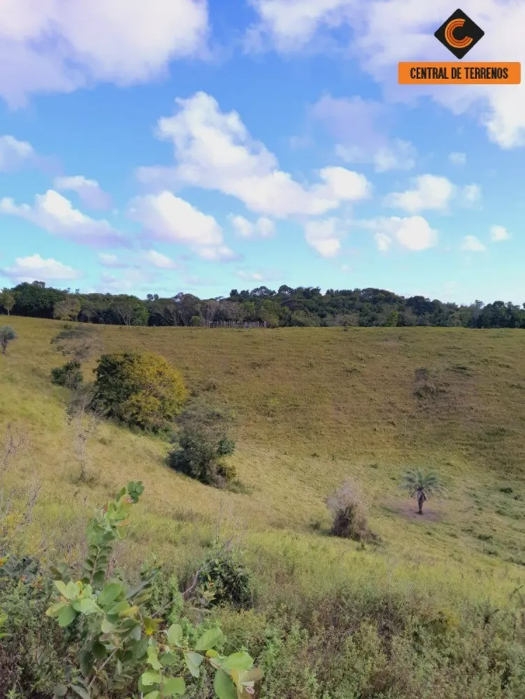 Fazenda à venda com 2 quartos, 500000m² - Foto 17