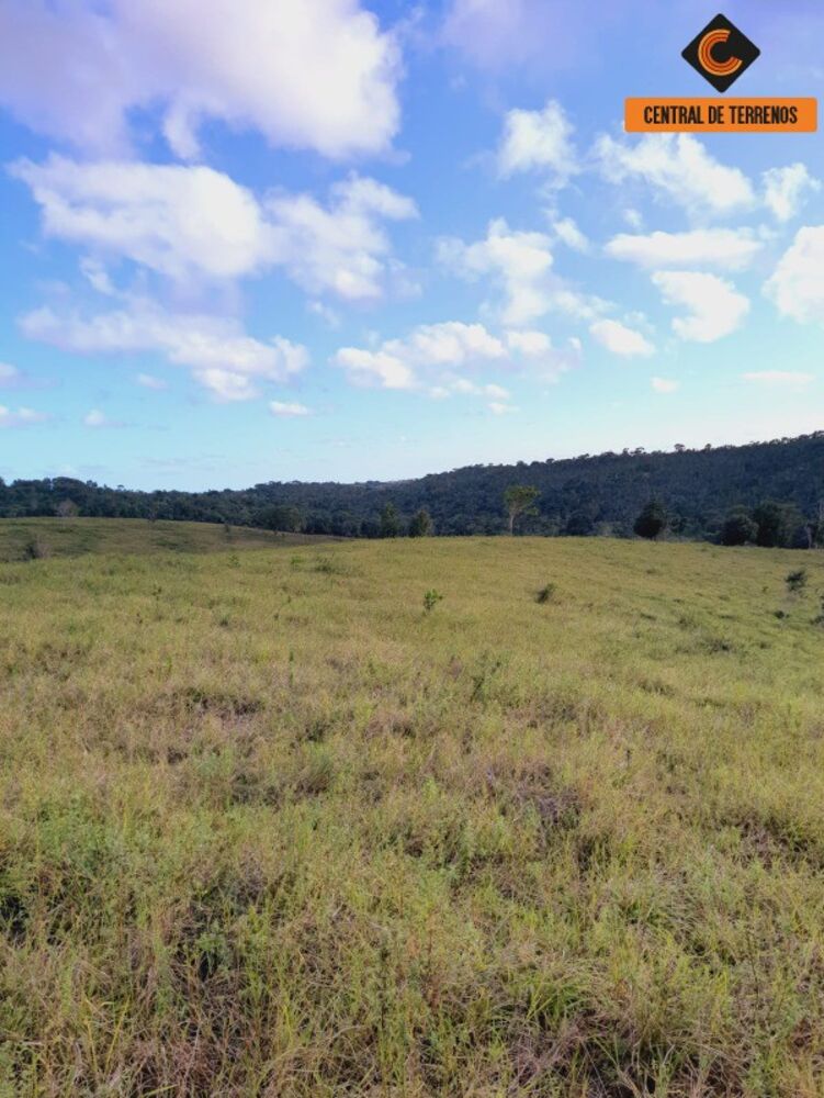 Fazenda à venda com 2 quartos, 500000m² - Foto 21