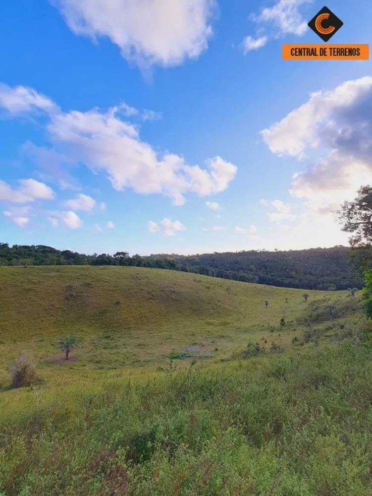 Fazenda à venda com 2 quartos, 500000m² - Foto 15