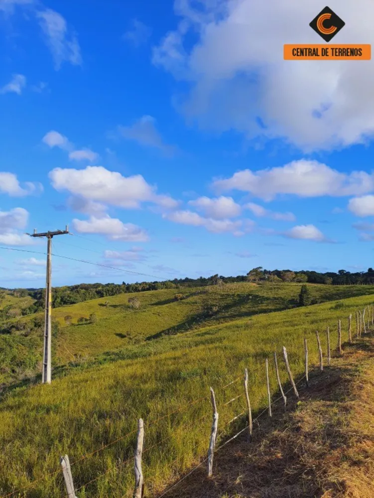 Fazenda à venda com 2 quartos, 500000m² - Foto 2