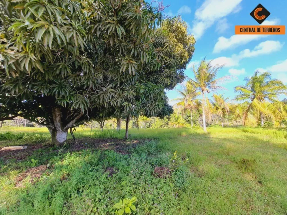 Fazenda à venda com 2 quartos, 500000m² - Foto 4