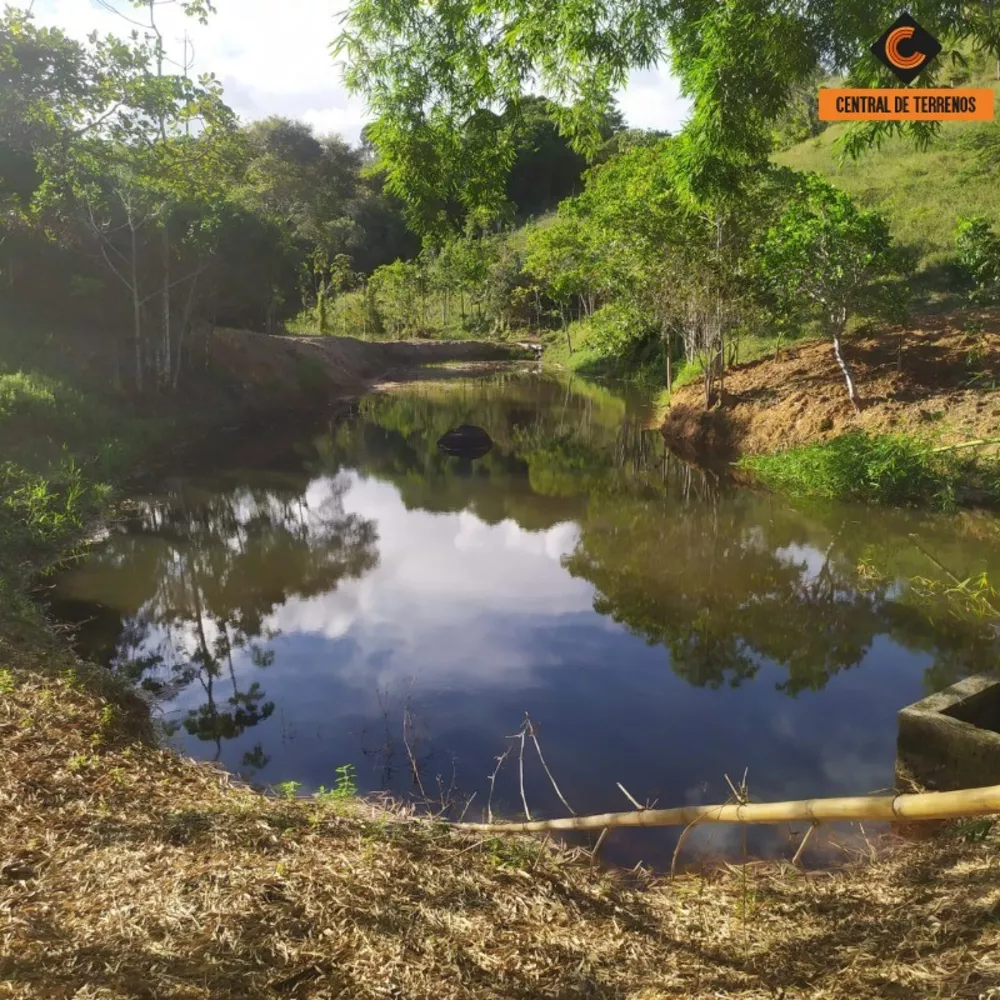 Fazenda à venda com 2 quartos, 500000m² - Foto 8