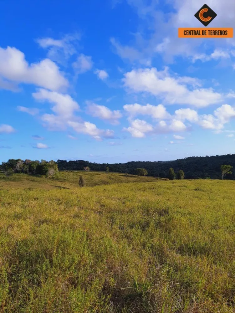 Fazenda à venda com 2 quartos, 500000m² - Foto 12