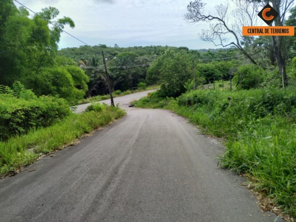 Loteamento e Condomínio, 1 hectares - Foto 3