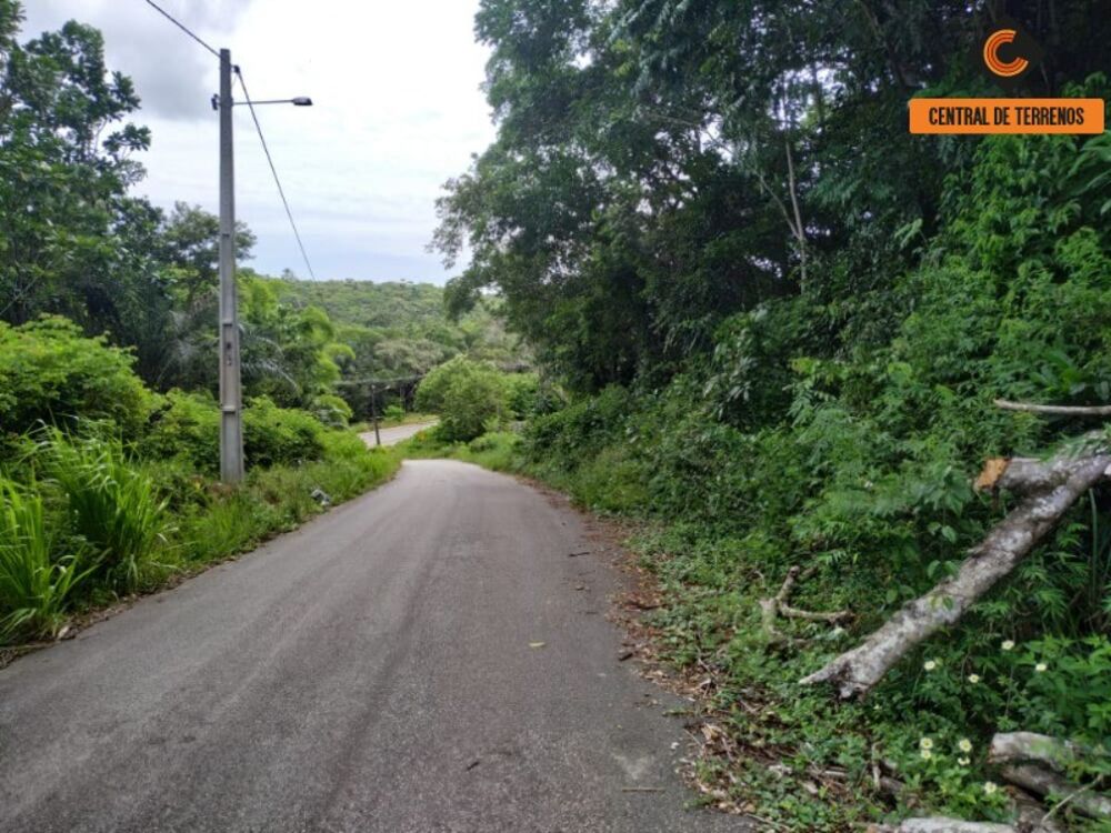 Loteamento e Condomínio, 1 hectares - Foto 4
