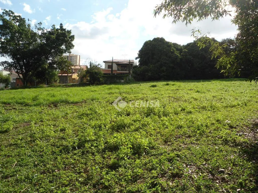 Chácara, 4 quartos, 3 hectares - Foto 11