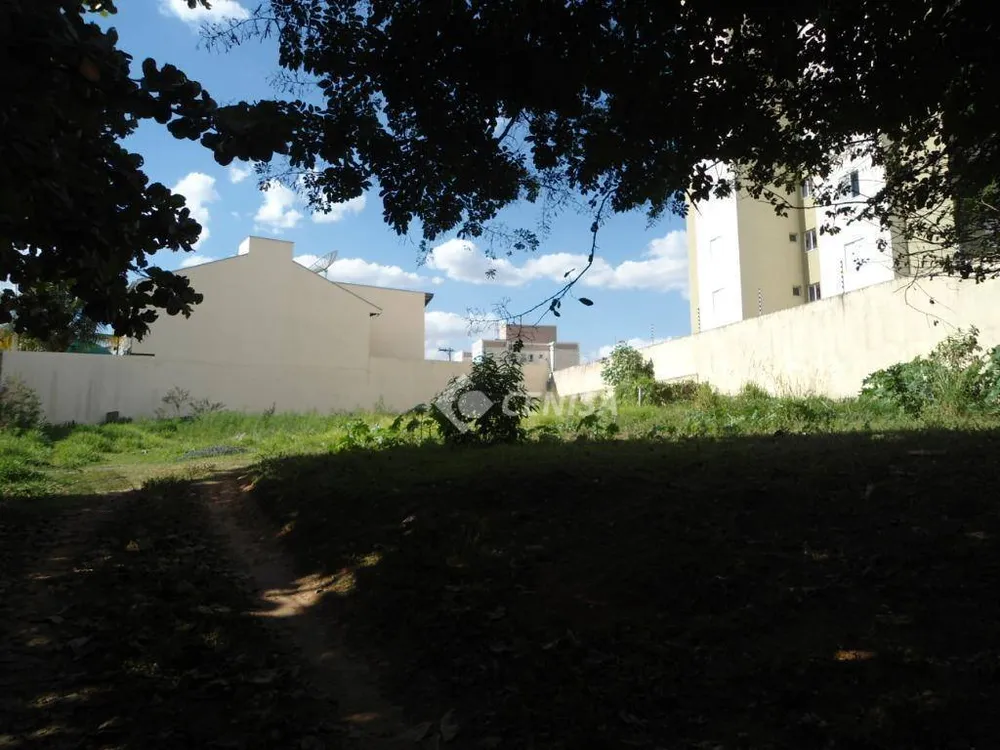 Chácara, 4 quartos, 3 hectares - Foto 5