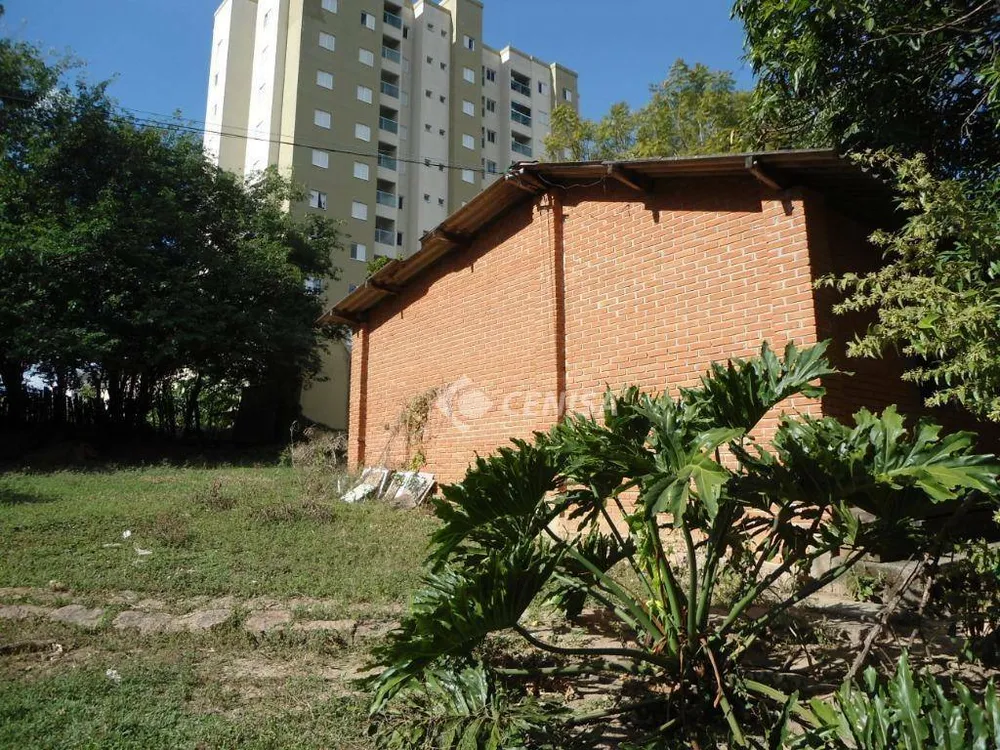 Chácara, 4 quartos, 3 hectares - Foto 3