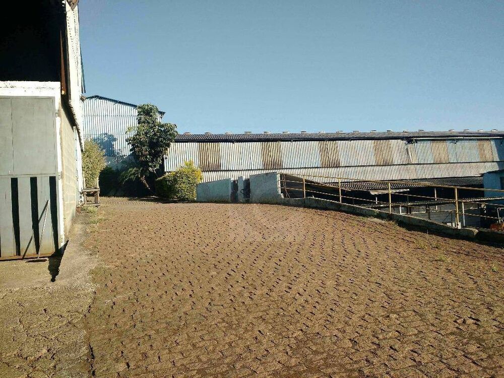 Depósito-Galpão, 11000 m² - Foto 13