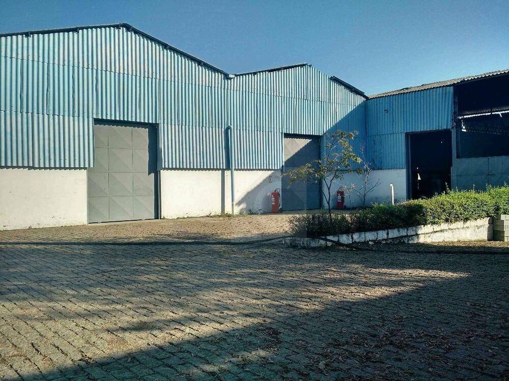 Depósito-Galpão, 11000 m² - Foto 1
