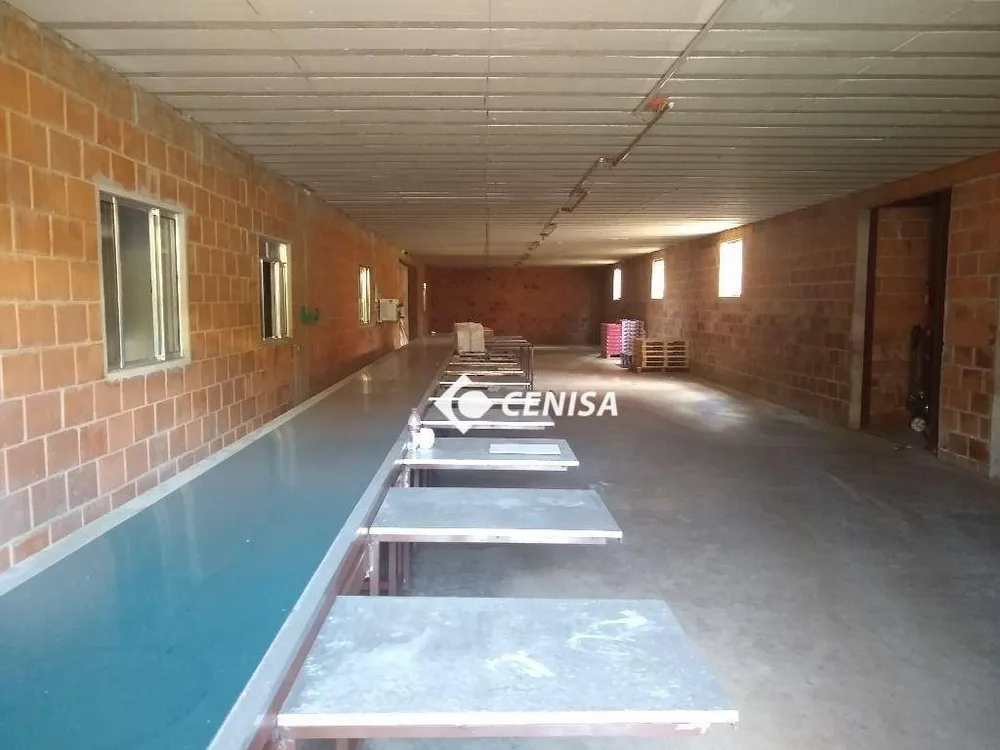 Depósito-Galpão, 1587 m² - Foto 5