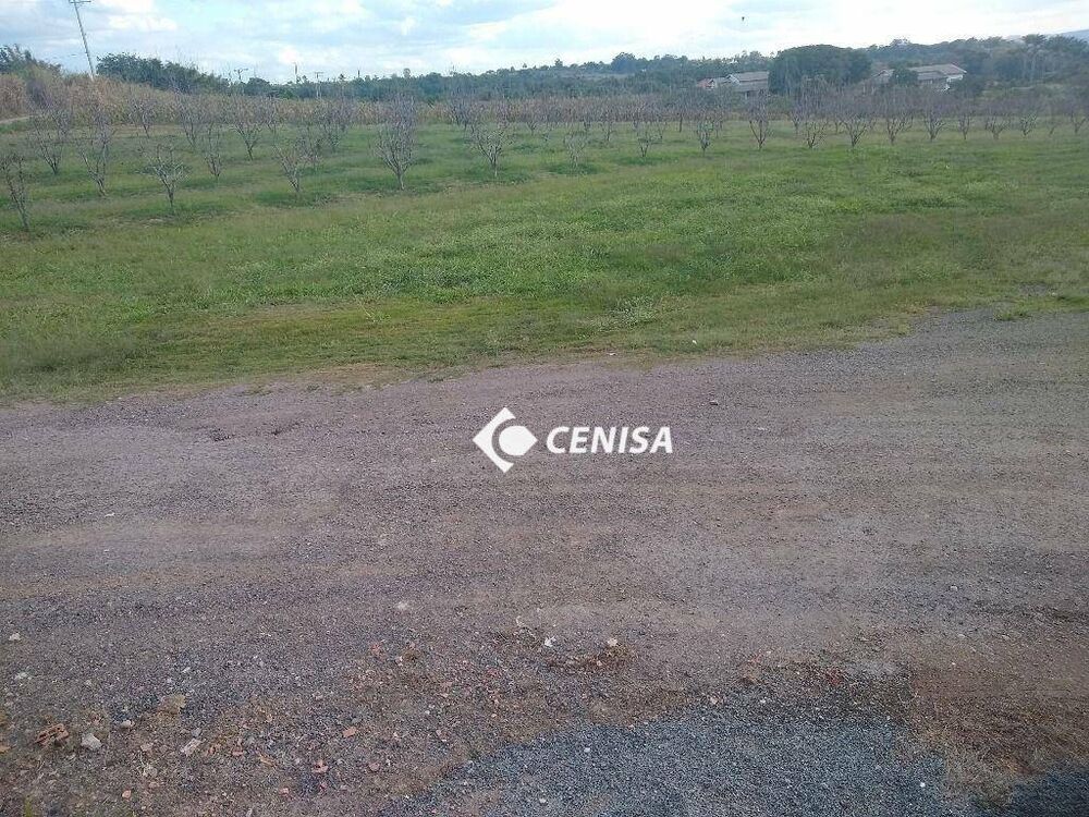Depósito-Galpão-Armazém para alugar, 1587m² - Foto 2