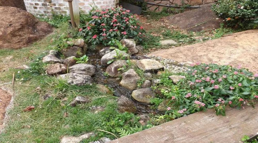 Chácara, 4 quartos, 3 hectares - Foto 12