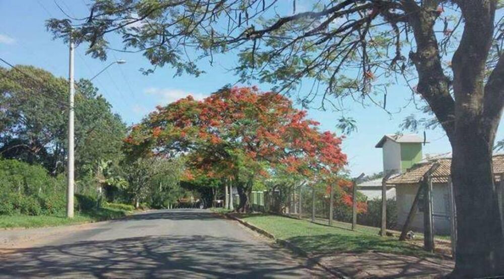 Chácara, 2 quartos, 1000 m² - Foto 17