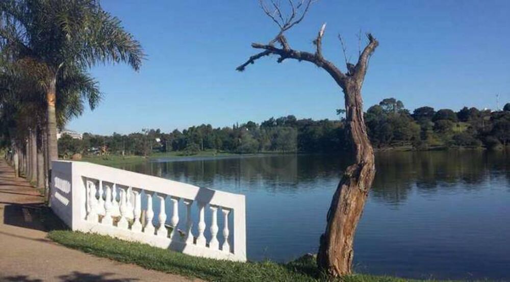 Chácara, 2 quartos, 1000 m² - Foto 19