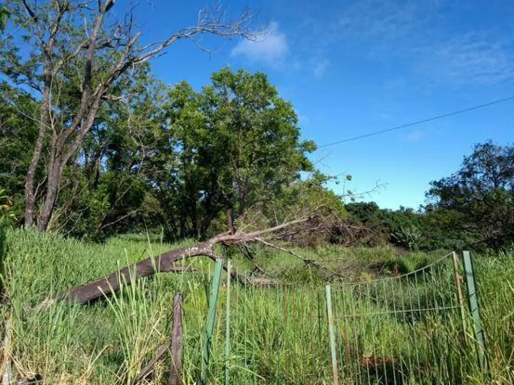 Terreno, 1 hectares - Foto 1