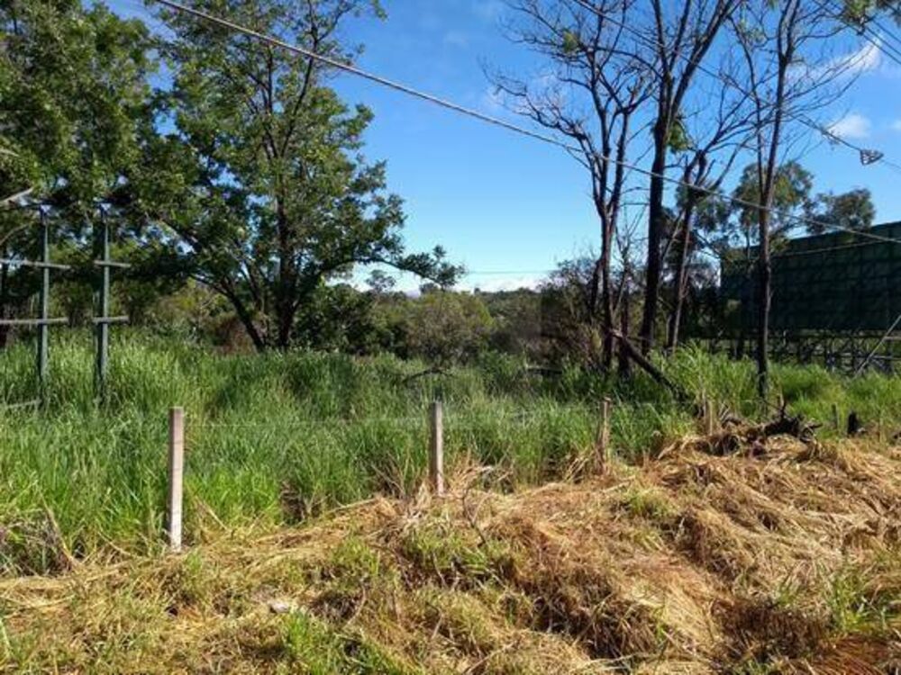 Terreno, 1 hectares - Foto 1