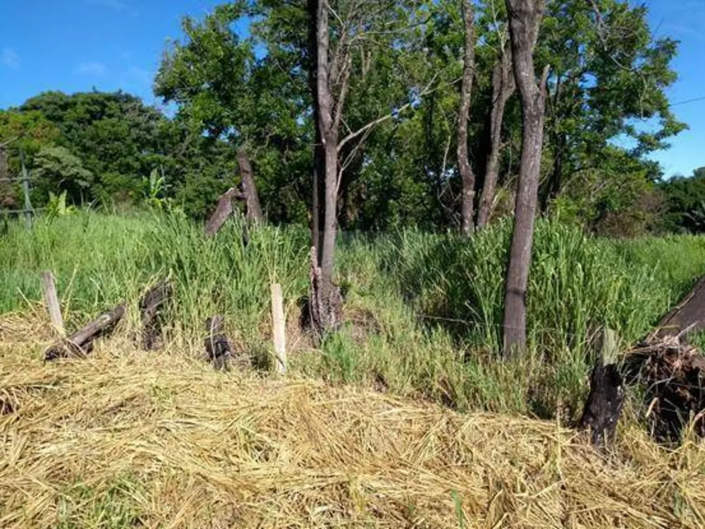 Terreno, 1 hectares - Foto 3