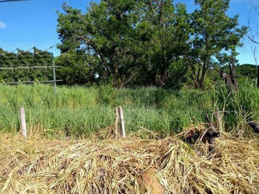 Terreno, 1 hectares - Foto 4