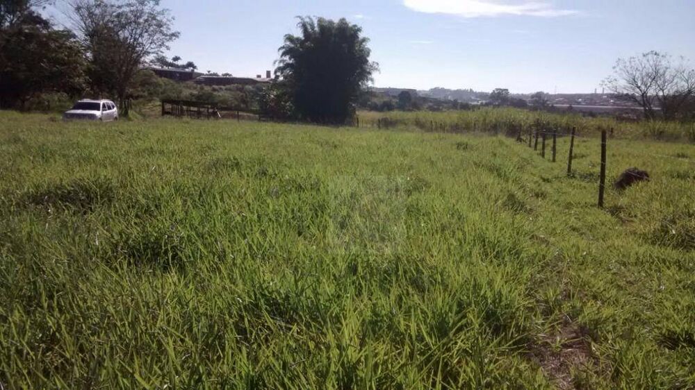 Sítio, 5 hectares - Foto 1