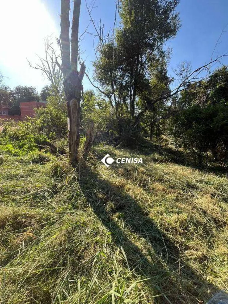 Terreno, 1000 m² - Foto 4