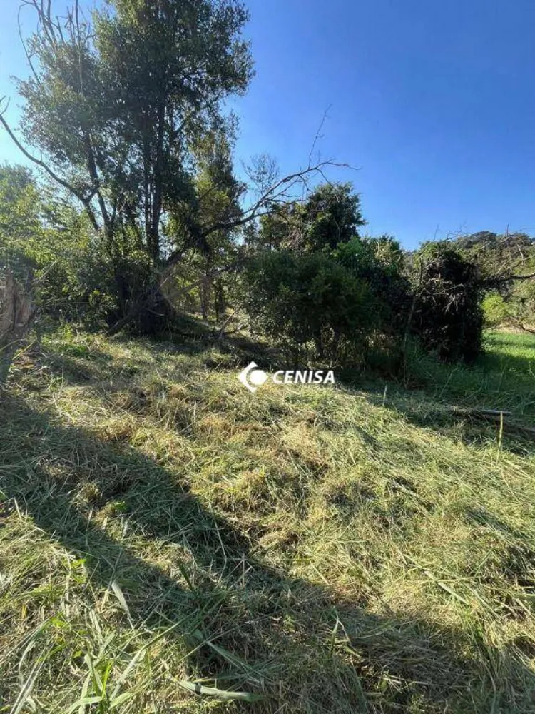 Terreno, 1000 m² - Foto 5