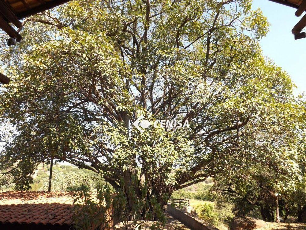 Sítio, 21 quartos, 4 hectares - Foto 13