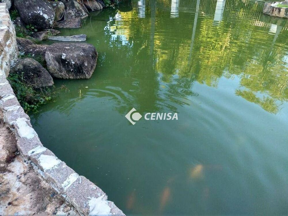 Chácara, 3 quartos, 5200 m² - Foto 9