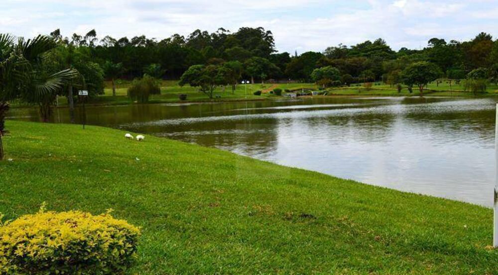 Chácara, 3 quartos, 5200 m² - Foto 15