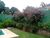 Chácara, 3 quartos, 1000 m² - Foto 1