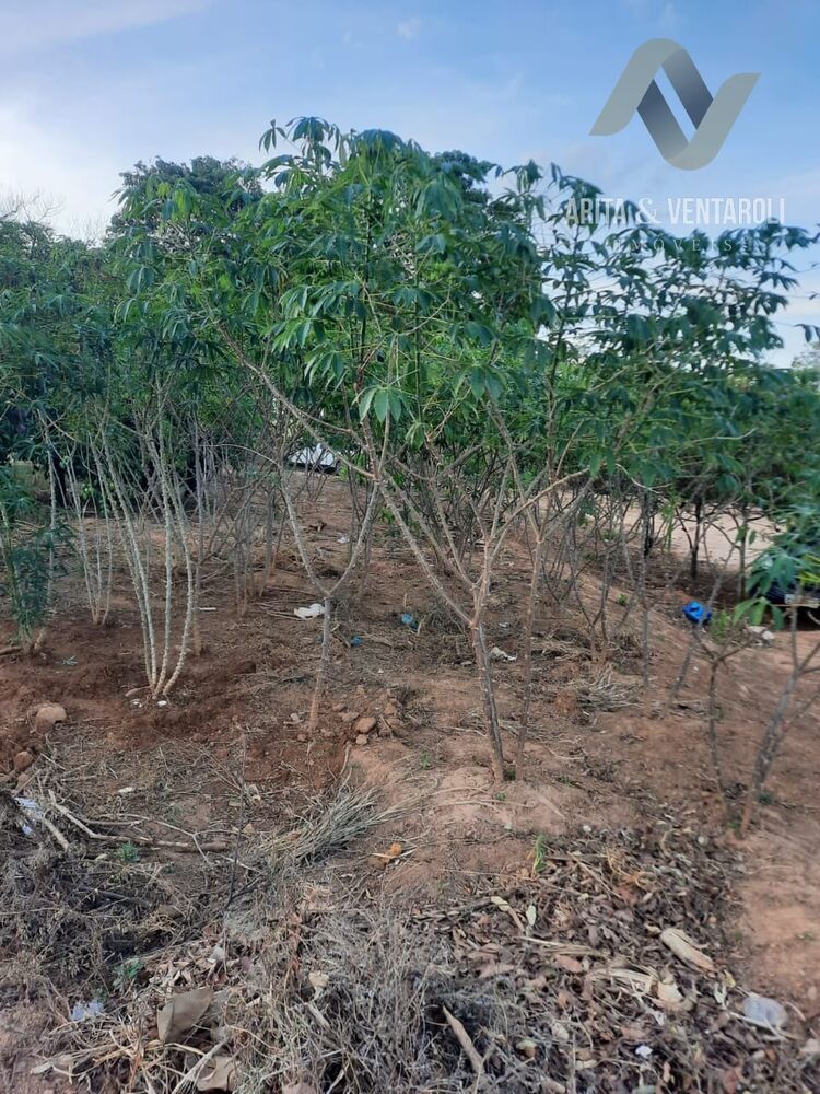 Sítio, 2 quartos - Foto 3