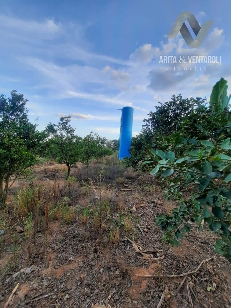 Sítio, 2 quartos - Foto 4