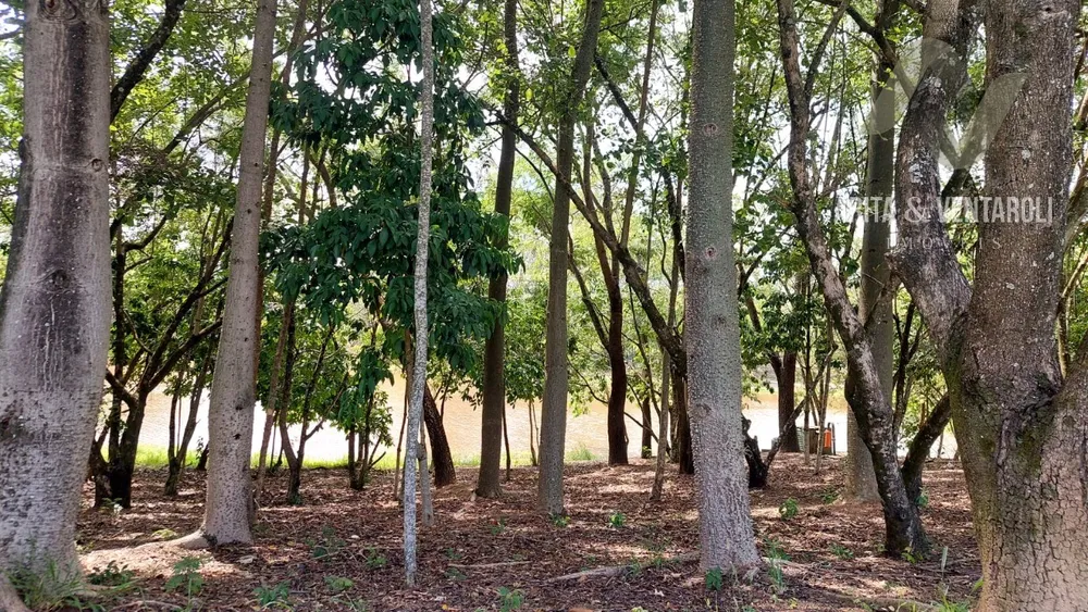 Terreno, 1000 m² - Foto 5