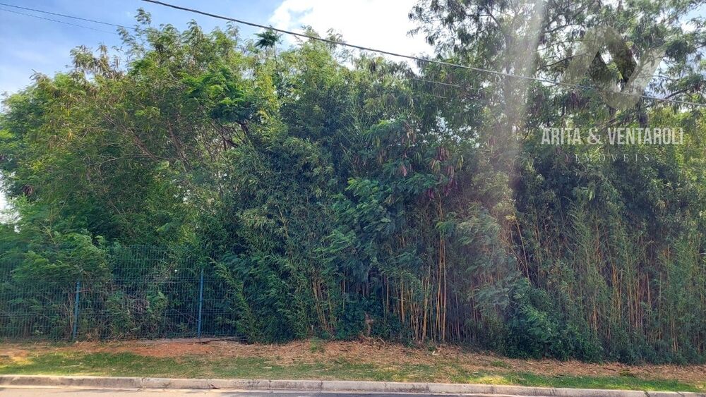 Terreno, 1000 m² - Foto 2